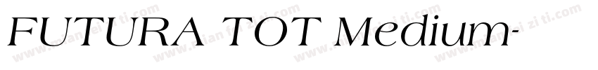 FUTURA TOT Medium字体转换